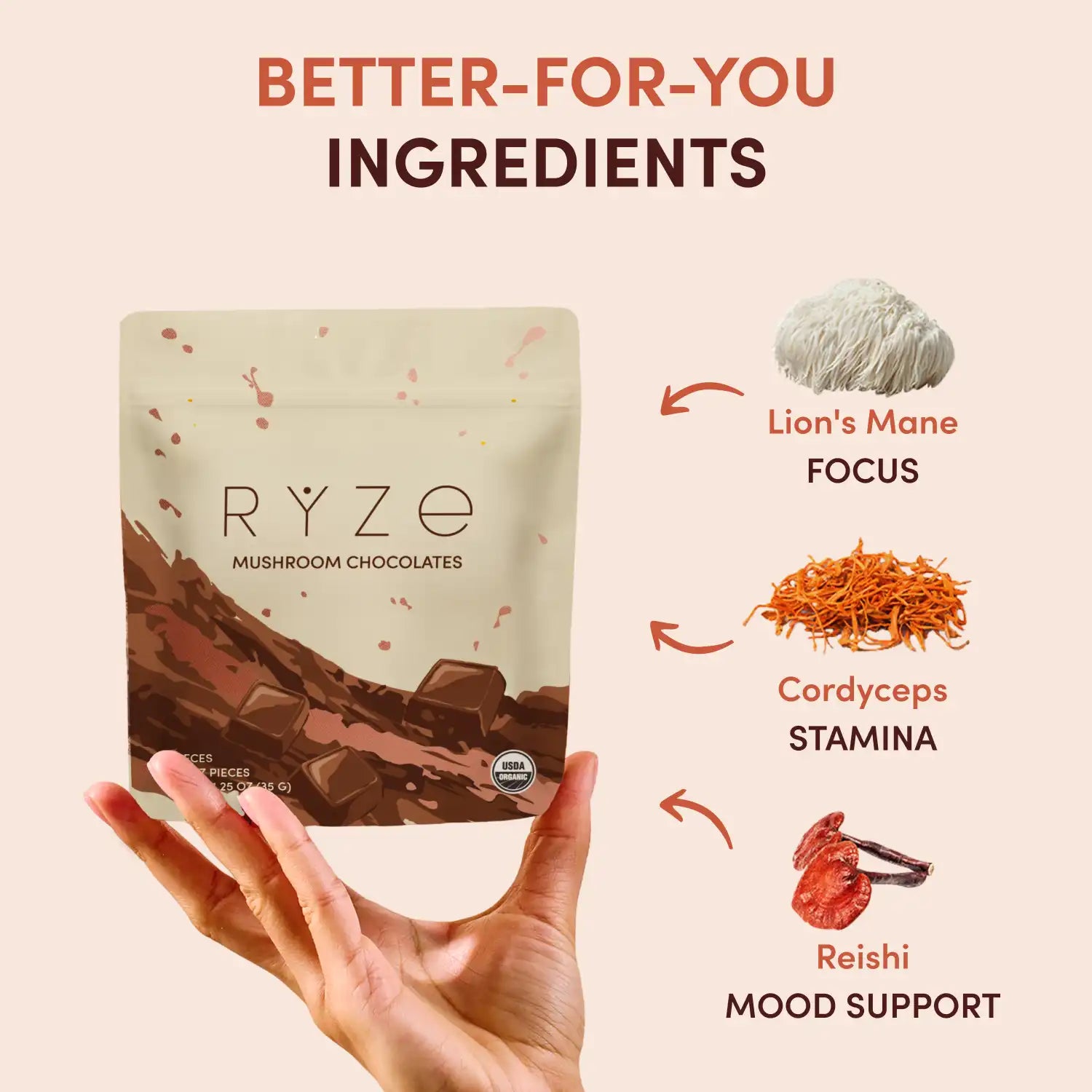 Mushroom Chocolates (30 pieces) - CYV2