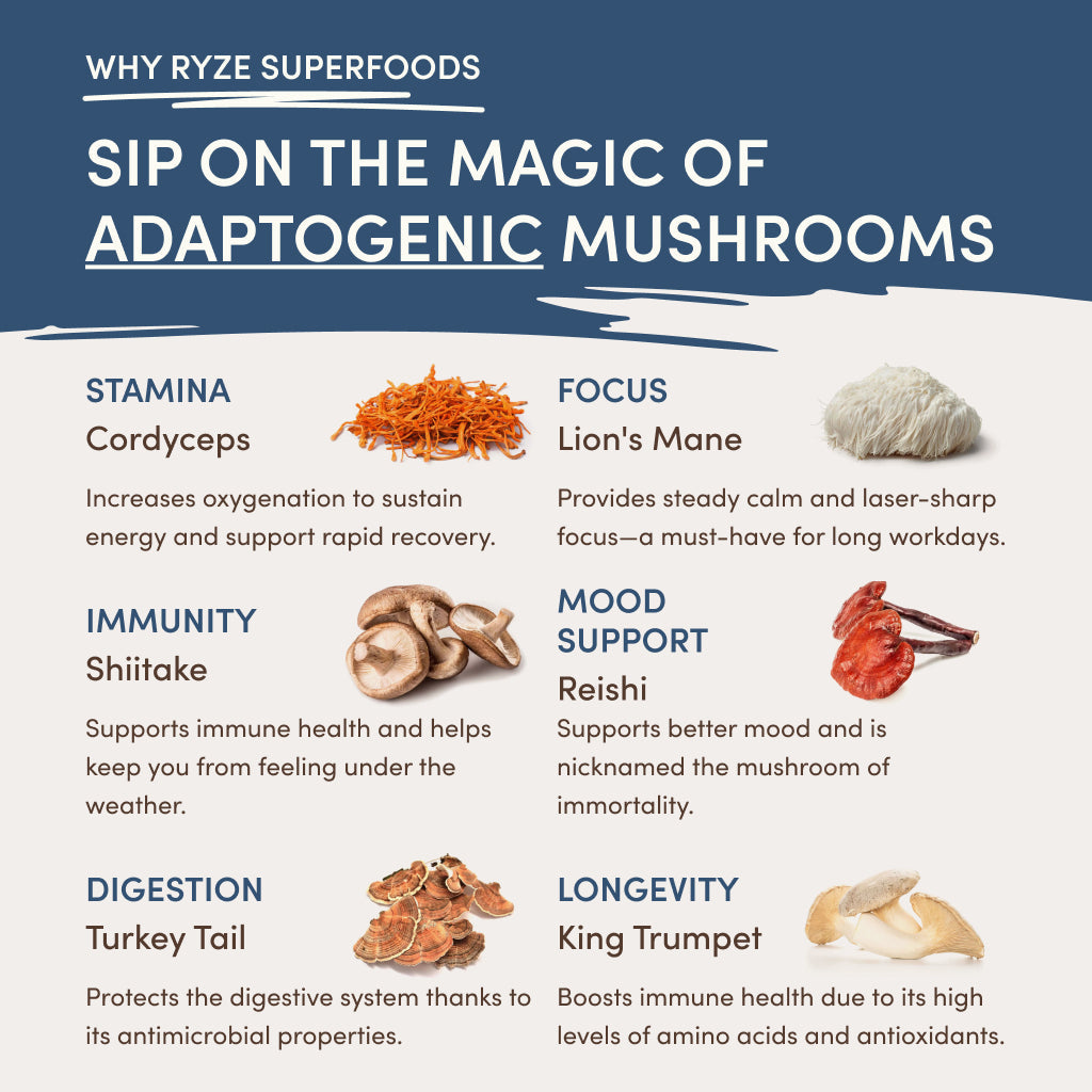 RYZE Nighttime Mushroom Cocoa Starter Bag - 0B48