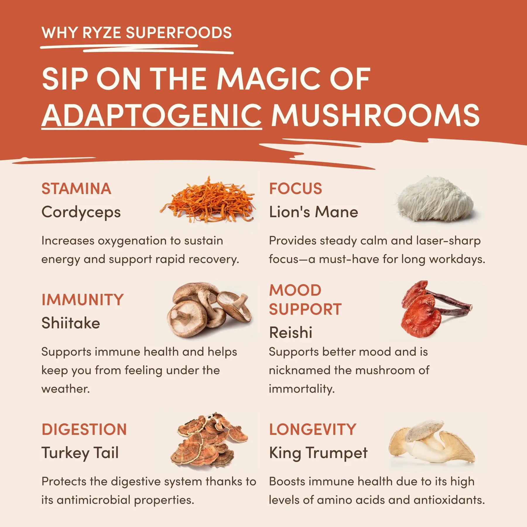 Mushroom Coffee (1 pack - 30 Servings) - Z0H7