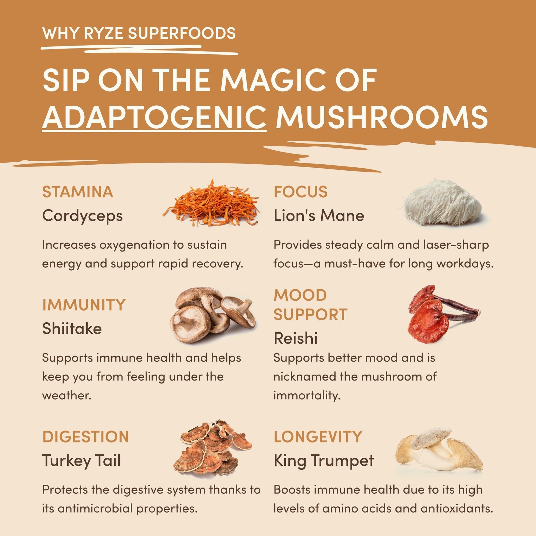 Mushroom Overnight Oats 14 Servings - 3EKC