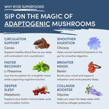 Mushroom Hot Cocoa (20 servings) - YTC9
