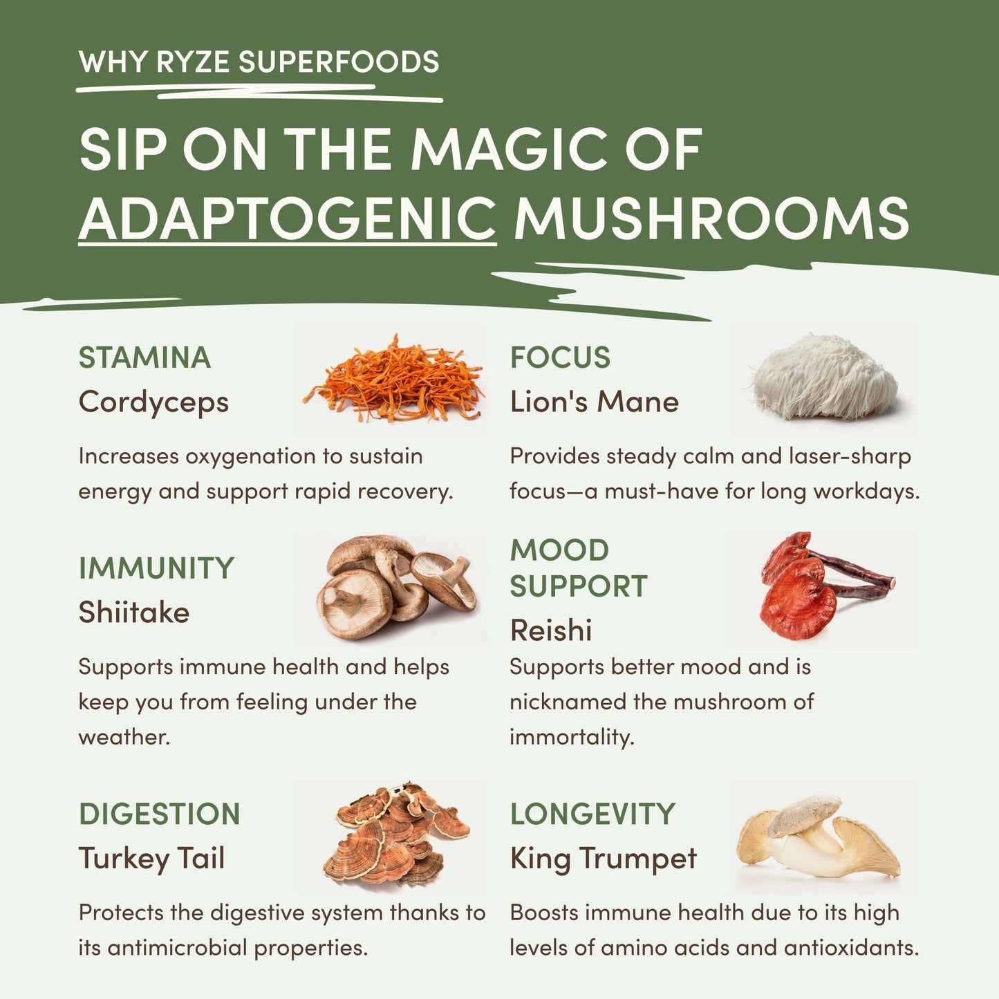 Mushroom Matcha (1 Pack - 30 Servings) - Y7KI