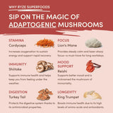 Mushroom Chai (1 Pack - 20 Servings) - M3FV