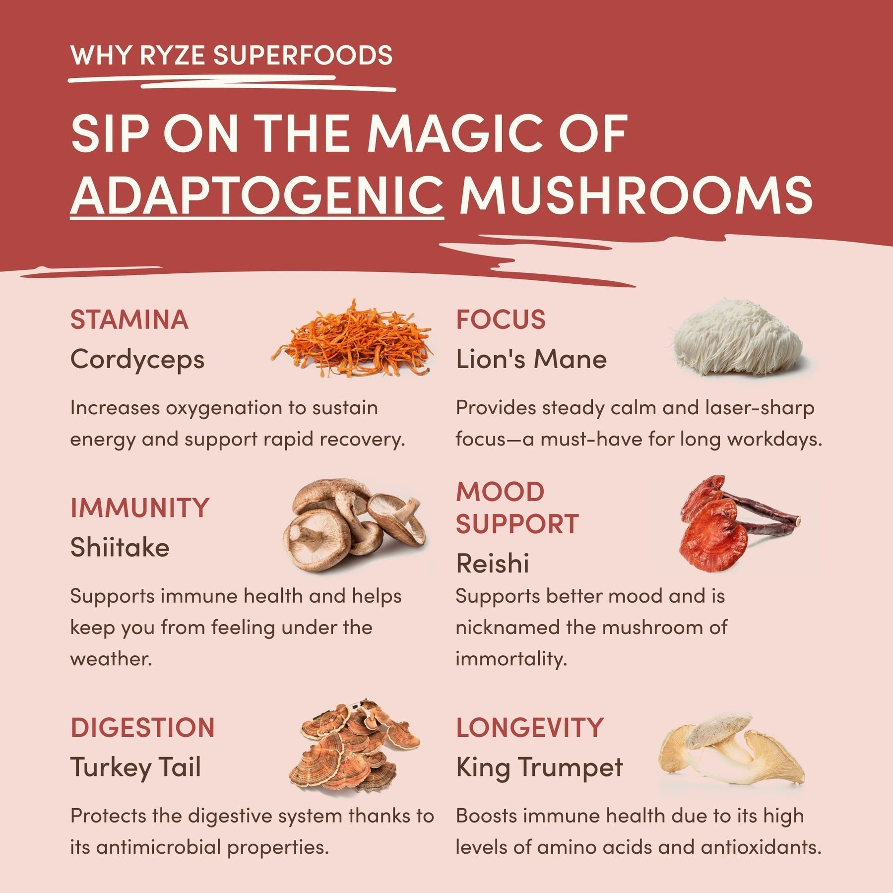 Mushroom Chai (1 Pack - 20 Servings) - M3FV