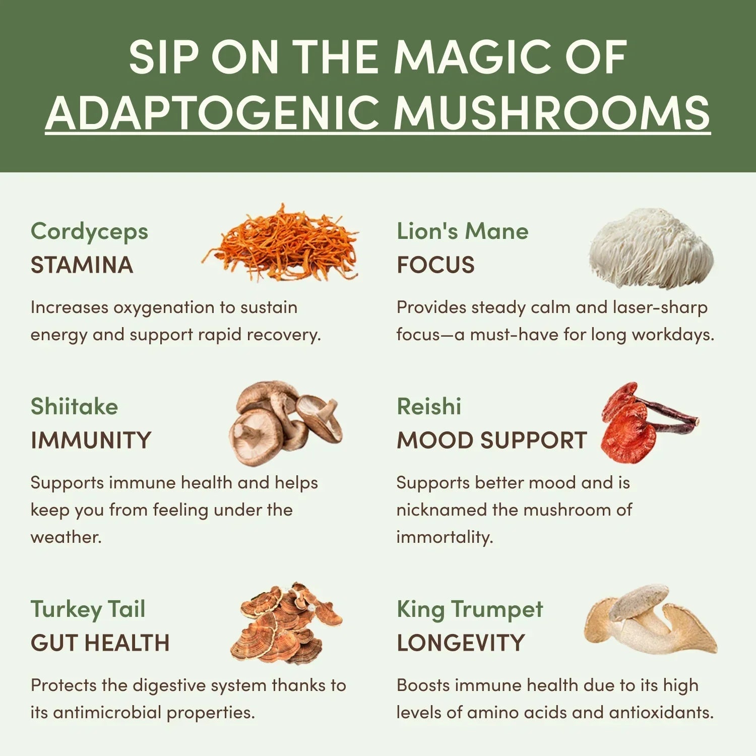 Mushroom Matcha Starter Kit (60 Servings) - 6KJ1