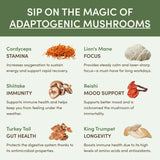 Mushroom Matcha (30 Servings) - OTBJ