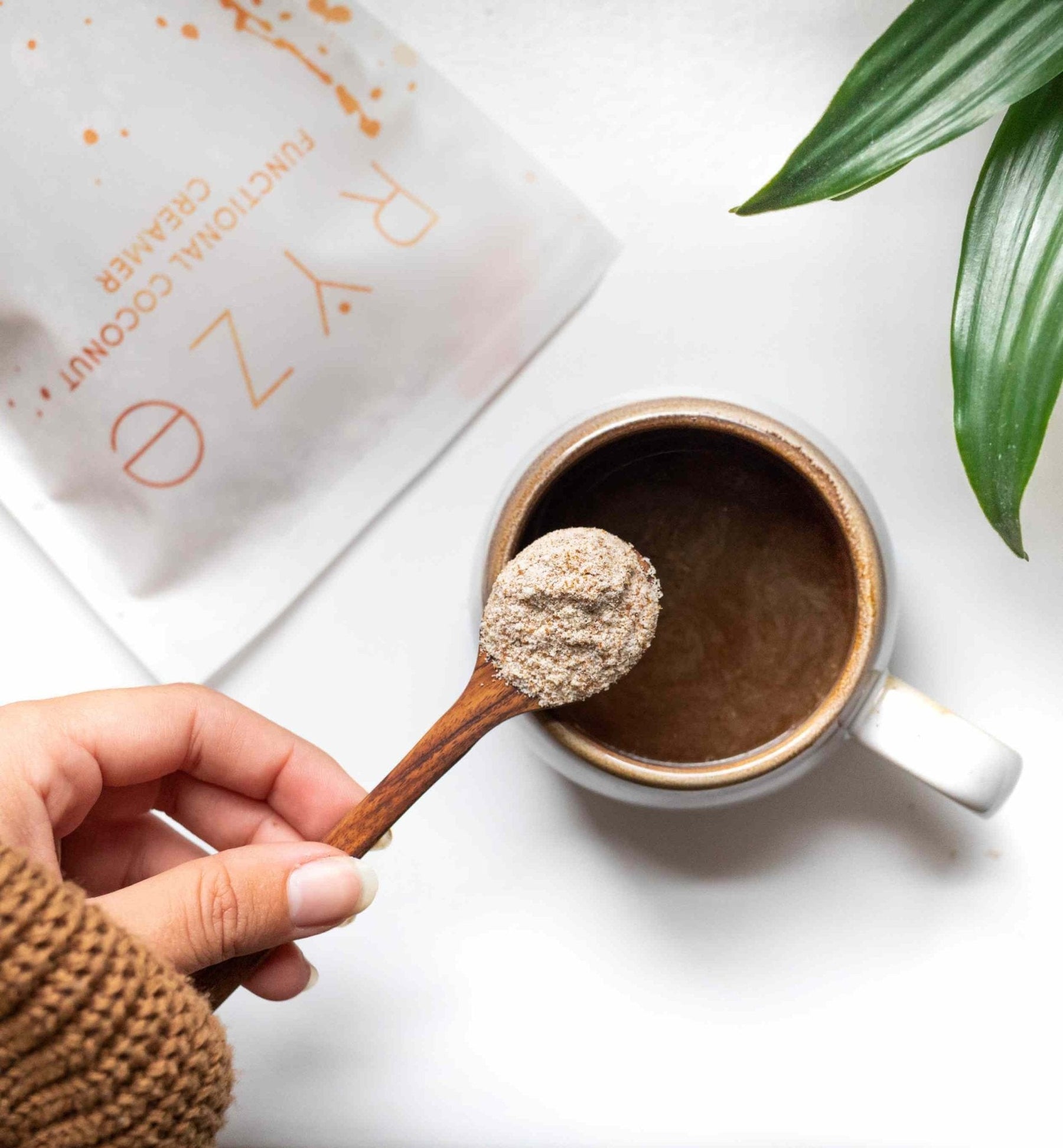 Probiotic Creamer (SPECIAL PRICING) - 6V7K
