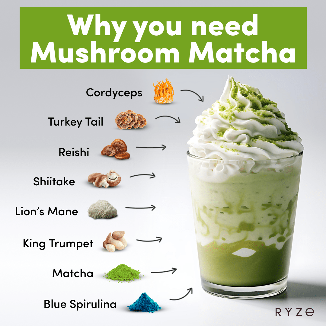 RYZE Mushroom Matcha - with 6 Organic Adaptogenic Mushrooms Grown In USA and Ceremonial-Grade Japanese Matcha - D62X
