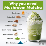 RYZE Organic Mushroom Matcha Starter Kit (60 servings) - OWA8