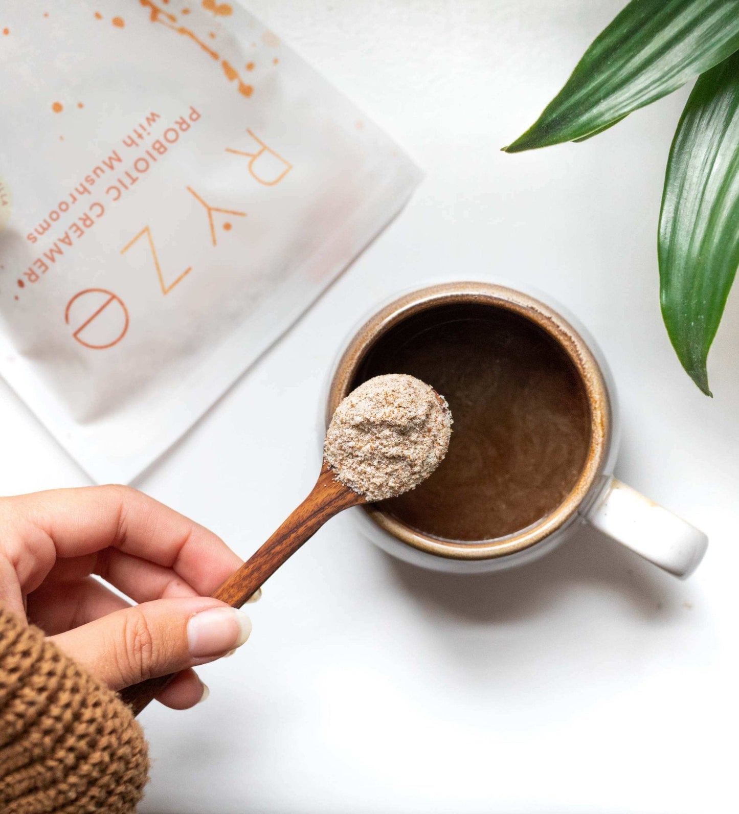 Try our Probiotic Creamer for 50% OFF! - MGT7